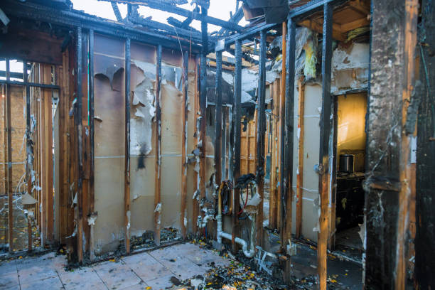 Professional Fire Damage Removal technician working in Thonotosassa, FL