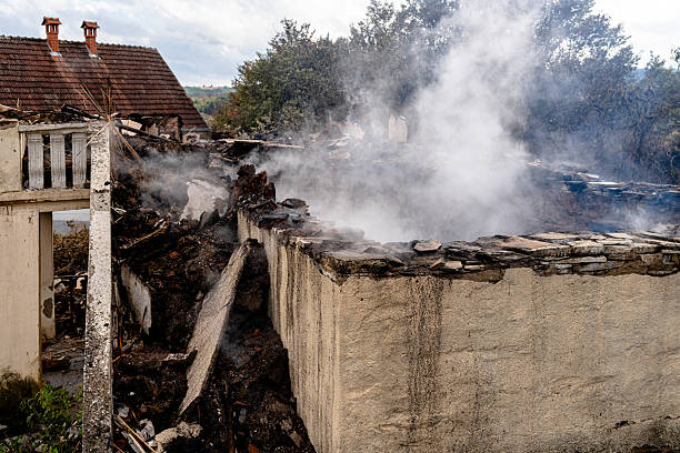 Affordable Fire Damage Removal solutions in Thonotosassa, FL
